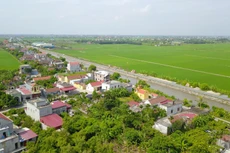 Đấu giá 130 thửa đất tại Giao Ninh (Ninh Bình). Ảnh minh họa: Internet