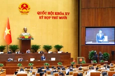 Quốc hội thảo luận ở hội trường về dự án Luật sửa đổi, bổ sung một số điều của Luật Thống kê