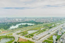 Ảnh minh họa internet