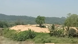 Tòa án nhân dân TP. Đà Nẵng đã xét xử đối với 6 bị cáo trong vụ án liên quan đến việc đấu giá quyền khai thác mỏ cát tại tỉnh Quảng Nam (cũ). Ảnh minh họa: Internet