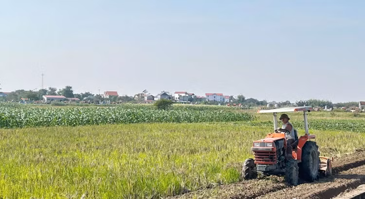 Bắc Ninh sẽ đấu giá 16 lô đất tại khu dân cư thôn Ngùi, thôn Tân Thể và thôn Thúy Cầu - Hội Phú xã Ngọc Thiện (tỉnh Bắc Ninh). Ảnh minh họa: Internet