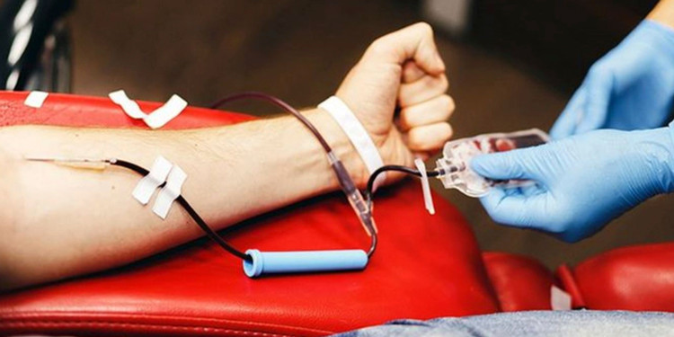 Nhiều người bị đối tượng lừa đảo gọi điện yêu cầu cung cấp thông tin vì "kết quả hiến máu có vấn đề". Ảnh minh họa