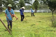 Ảnh chỉ mang tính minh họa