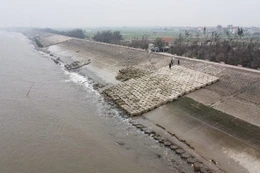 Ảnh minh họa: Internet