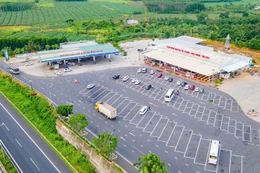 Ảnh minh họa: Internet