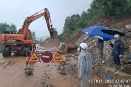 Ảnh: Cục Đường bộ Việt Nam cung cấp