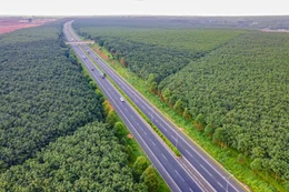 Việc triển khai thu phí tại Trạm thu phí nút giao Vành đai 3 (cao tốc TP.HCM - Long Thành - Dầu Giây) sẽ bắt đầu từ ngày 19/8/2025 