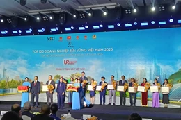 Công bố TOP 100 Doanh nghiệp Bền vững tại Việt Nam 2025