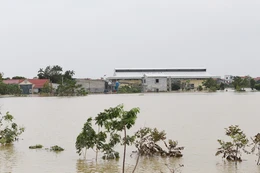 Bắc Ninh dự chi hơn 2.000 tỷ đồng xử lý khẩn cấp sạt lở, nâng cấp đê, trạm bơm