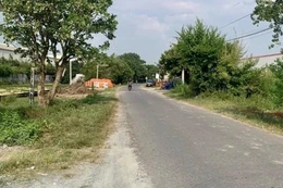 Ảnh minh họa: Internet