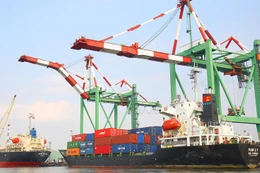 Xem xét phát động phong trào cải cách thủ tục đầu tư, logistics và xuất nhập khẩu