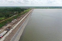 Ảnh minh họa: Internet