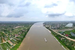 Ảnh minh họa: Internet