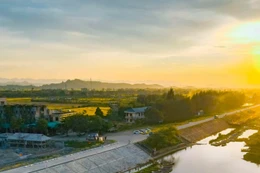 Ảnh minh họa: Internet