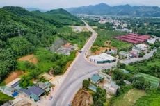 Gói thầu Mua con giống 