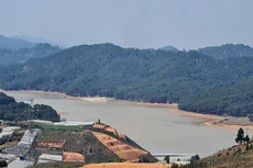 Gói thầu: Gói thầu số 08 Thi công nạo vét phía thượng nguồn lòng hồ Đan Kia, thị trấn Lạc Dương, huyện Lạc Dương (nay là Phường Lang Biang - Đà Lạt) 