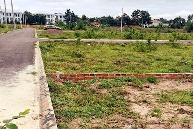 Chuyển mục đích sử dụng đất để thực hiện Dự án Cụm công nghiệp Đông Quang trên địa bàn huyện Cần Giuộc, tỉnh Long An. Ảnh minh họa