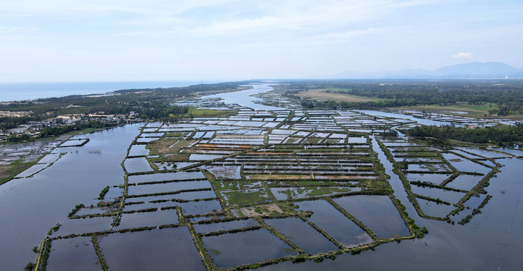 Ảnh chỉ mang tính minh họa. Nguồn Internet