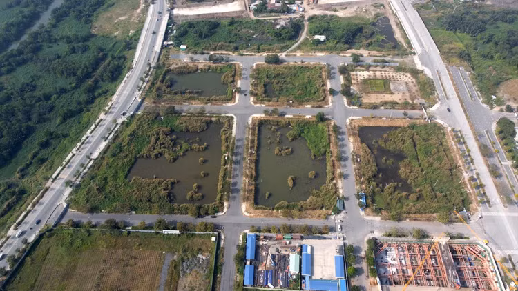 Cả 4 lô đất được TPHCM mang ra đấu giá trong vào ngày 10/12/2021 đều bị doanh nghiệp bỏ cọc, không thực hiện dự án