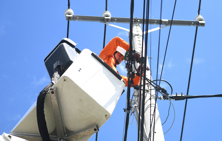 Gói thầu Cung cấp và XD lắp đặt VTTB công trình đầu tư cải tạo, nâng cấp lưới điện trung hạ thế từ 1 pha lên 3 pha...trên địa bàn huyện Cái Nước năm 2025 đang vướng kiến nghị của nhà thầu. Ảnh minh họa