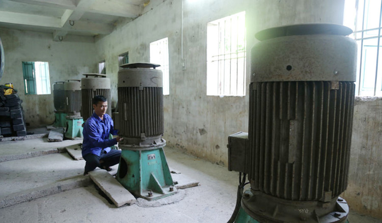 Ảnh chỉ mang tính minh họa. Nguồn Internet