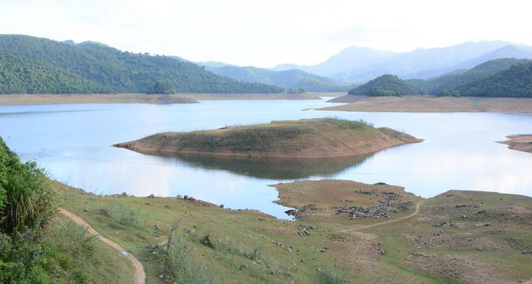 Ảnh chỉ mang tính minh họa. Nguồn Internet