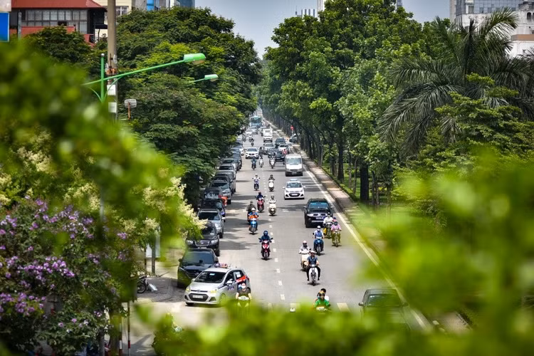 Trong đợt ra quân đầu Xuân Quý Mão 2023, Hà Nội sẽ trồng mới 100.000 - 120.000 cây xanh các loại. Ảnh: TTXVN