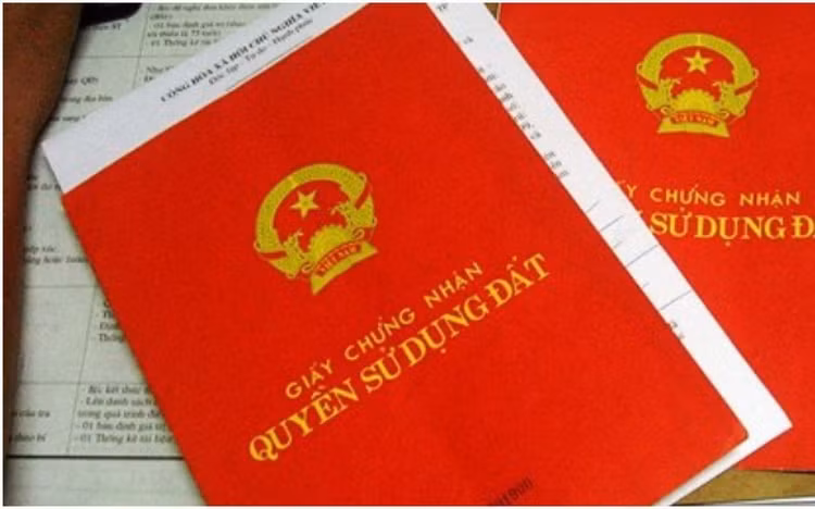 Văn phòng đăng ký đất đai, Chi nhánh Văn phòng đăng ký đất đai có chức năng cấp, cấp đổi, cấp lại Giấy chứng nhận quyền sử dụng đất.