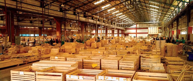 Tổng giá khởi điểm của cả hai nhà máy gỗ là gần 80 tỷ đồng