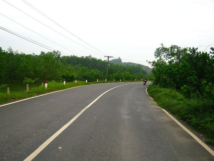 Ảnh chỉ mang tính minh họa. Nguồn Internet