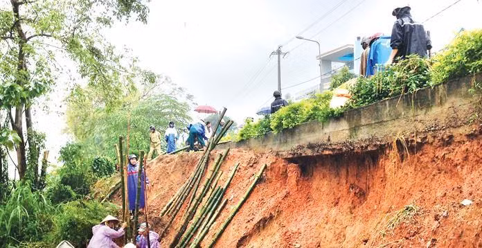 Ảnh chỉ mang tính minh họa. Nguồn Internet