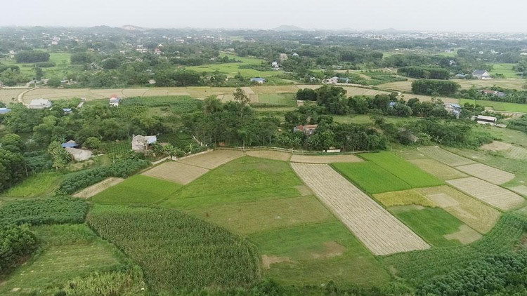 Ảnh chỉ mang tính minh họa. Nguồn Internet