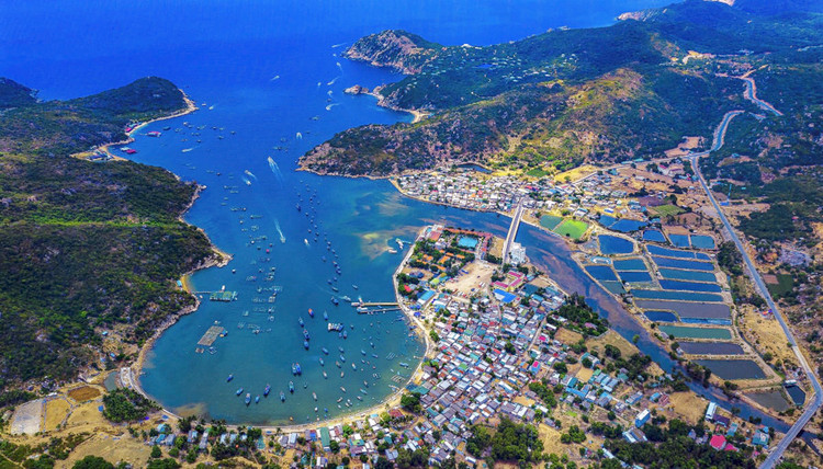 Bộ Chính trị yêu cầu tạm dừng tuyển dụng, bổ nhiệm các chức danh lãnh đạo trong cả hệ thống cho tới khi hoàn thành sáp nhập tỉnh, bỏ cấp huyện 