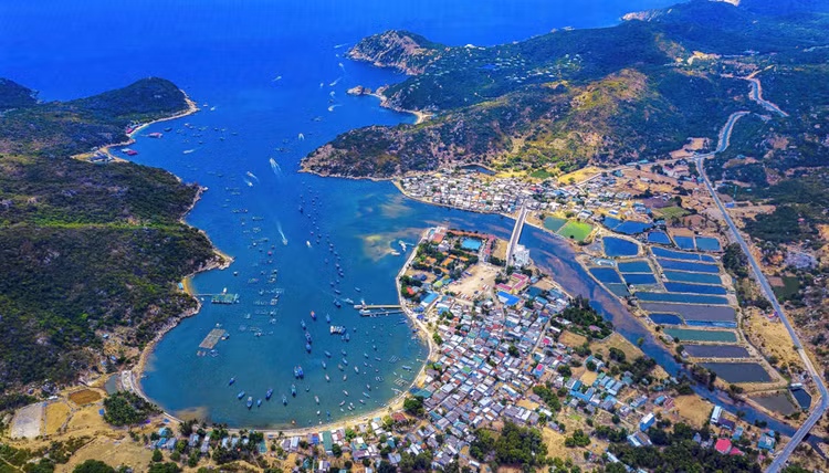 Bộ Chính trị yêu cầu tạm dừng tuyển dụng, bổ nhiệm các chức danh lãnh đạo trong cả hệ thống cho tới khi hoàn thành sáp nhập tỉnh, bỏ cấp huyện 