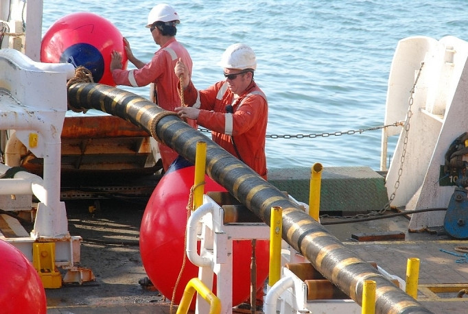 Ảnh chỉ mang tính minh họa. Nguồn Internet