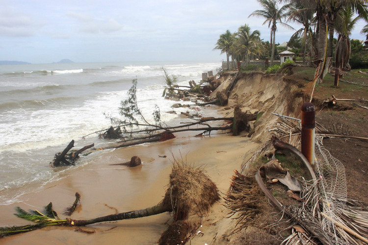 Ảnh chỉ mang tính minh họa. Nguồn Internet