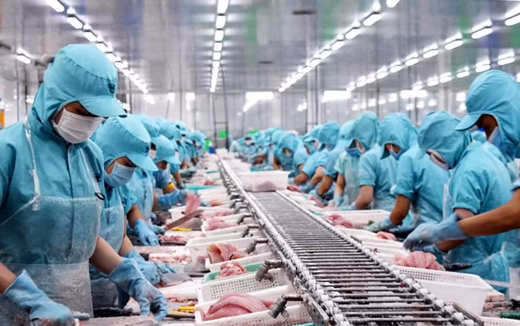 Kinh tế thế giới có những biến động nhanh, mạnh, khó lường với nhiều khó khăn, thách thức đã tác động bất lợi đến kinh tế Việt Nam. Ảnh chỉ mang tính minh họa. Nguồn Internet