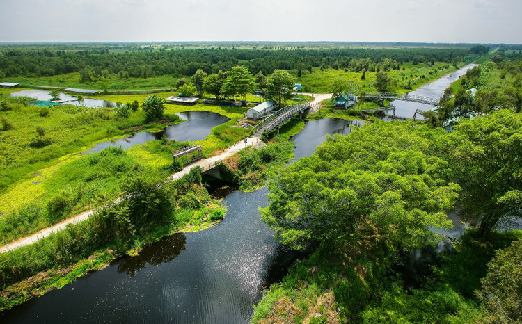 Ảnh chỉ mang tính minh họa. Nguồn Internet