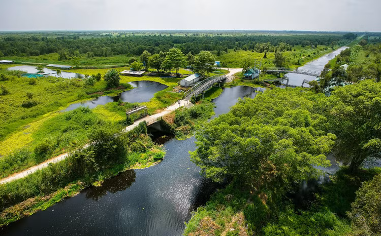 Ảnh chỉ mang tính minh họa. Nguồn Internet