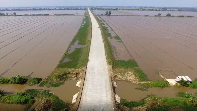 Ảnh chỉ mang tính minh họa. Nguồn Internet