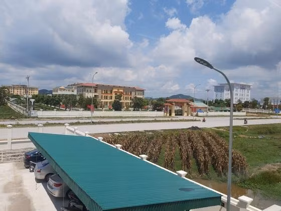 Ảnh chỉ mang tính minh họa. Nguồn Internet