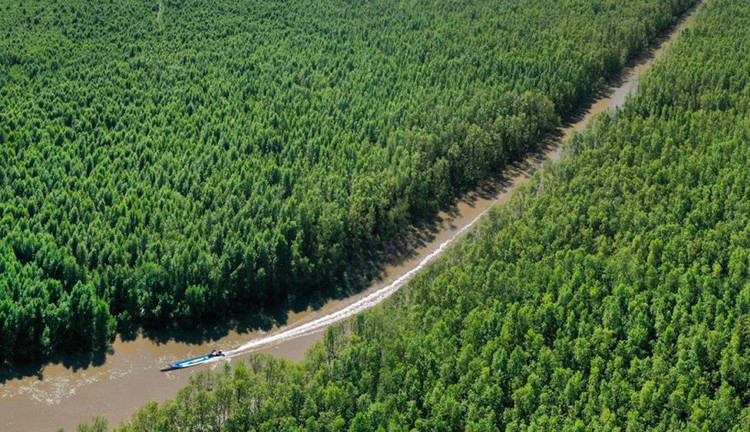 Ảnh chỉ mang tính minh họa. Nguồn Internet