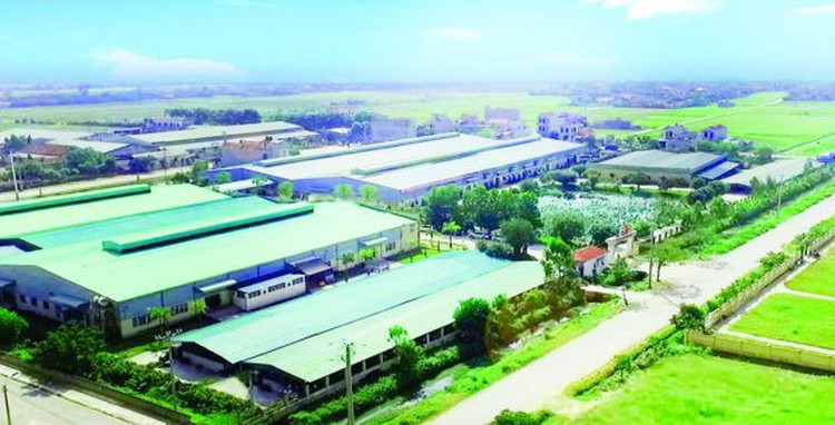 Ảnh chỉ mang tính minh họa. Nguồn Internet