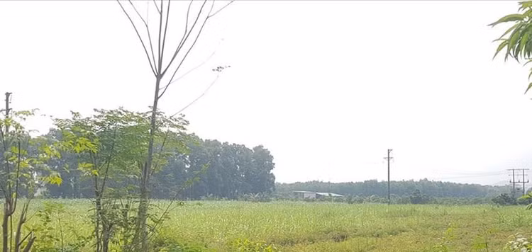 Trên 56ha đất được UBND tỉnh Ninh Bình giao cho các đơn vị thuộc Viện Chăn nuôi - Bộ NN&PTNT làm dự án nhưng bỏ hoang suốt 16 năm.