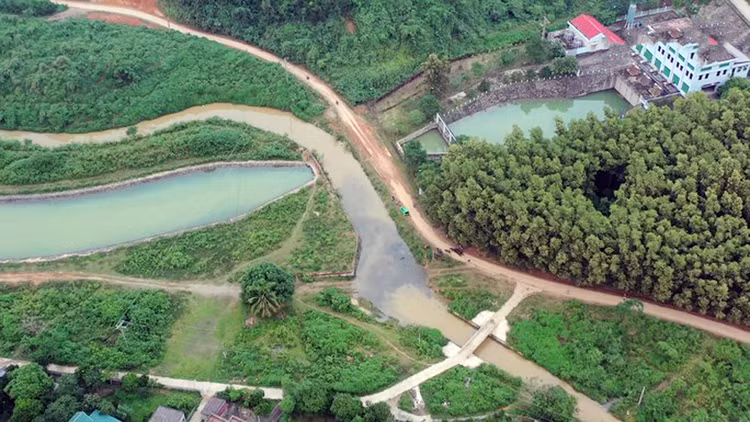 Ảnh chỉ mang tính minh họa. Nguồn Internet