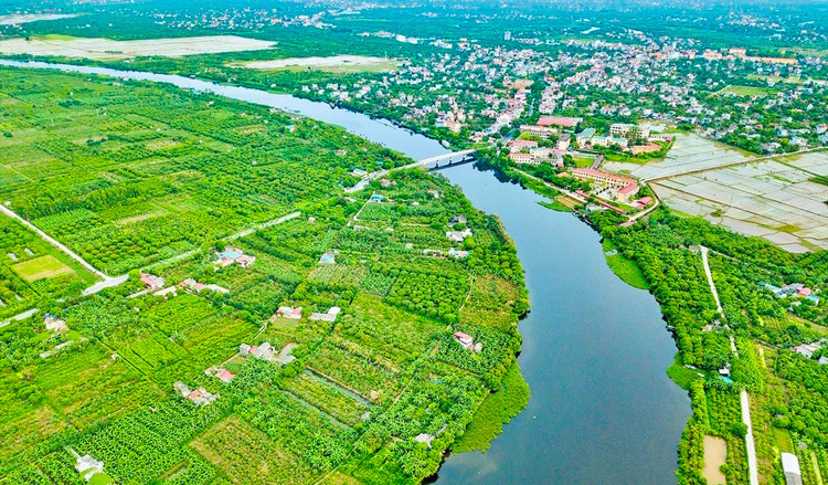 Ảnh chỉ mang tính minh họa. Nguồn Internet