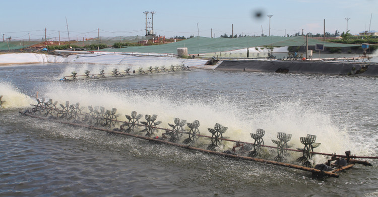 Ảnh chỉ mang tính minh họa. Nguồn Internet