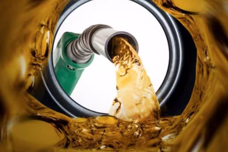 Ảnh chỉ mang tính minh họa. Nguồn Internet