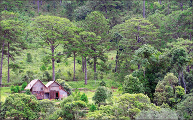 Ảnh chỉ mang tính minh họa. Nguồn Internet