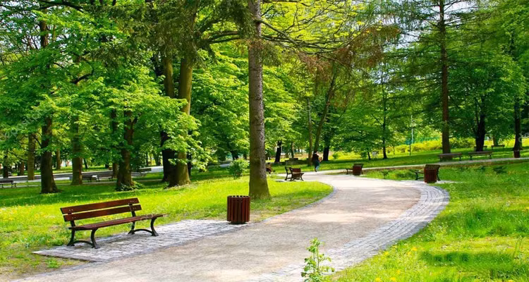 Gói thầu xây công viên tại xã Hoa Lộc phải hủy thầu vì các HSDT không đáp ứng yêu cầu. Ảnh chỉ mang tính minh họa. Nguồn Internet